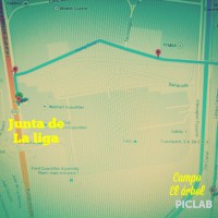 /album/lfamaps/campo-el-arbol-1-jpg/